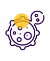 Tumor Resection
