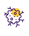 Treatment of Second Cancers