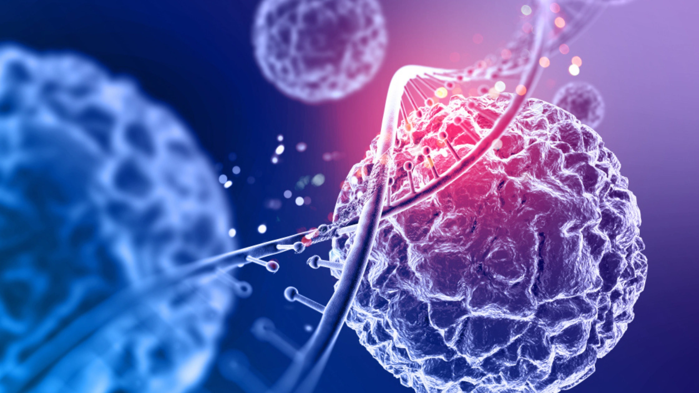 Hormone receptor and HER2 status.